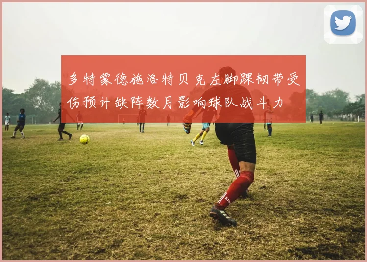 多特蒙德施洛特贝克左脚踝韧带受伤预计缺阵数月影响球队战斗力
